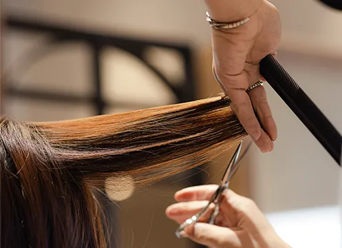 挑戦を全力で応援する